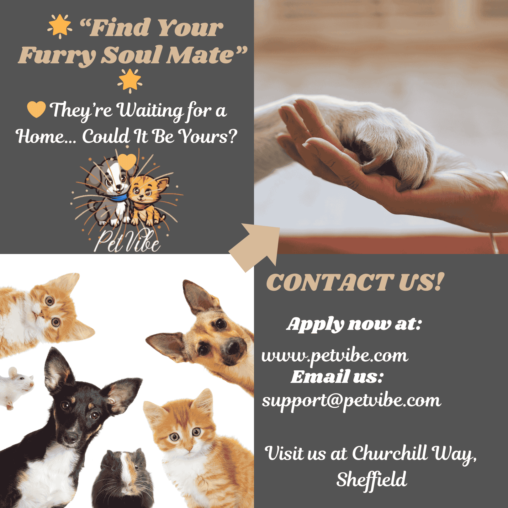 Find your fury friend Find your fury friend