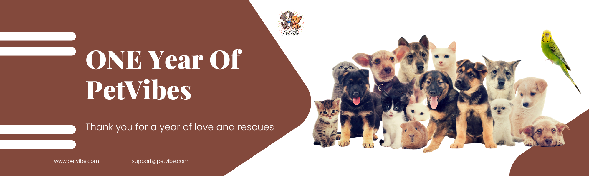 PetVibes LinkedIn Article Cover Image