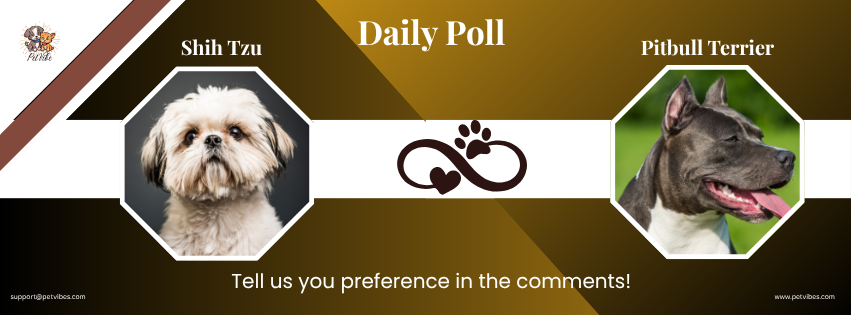 Facebook banner post