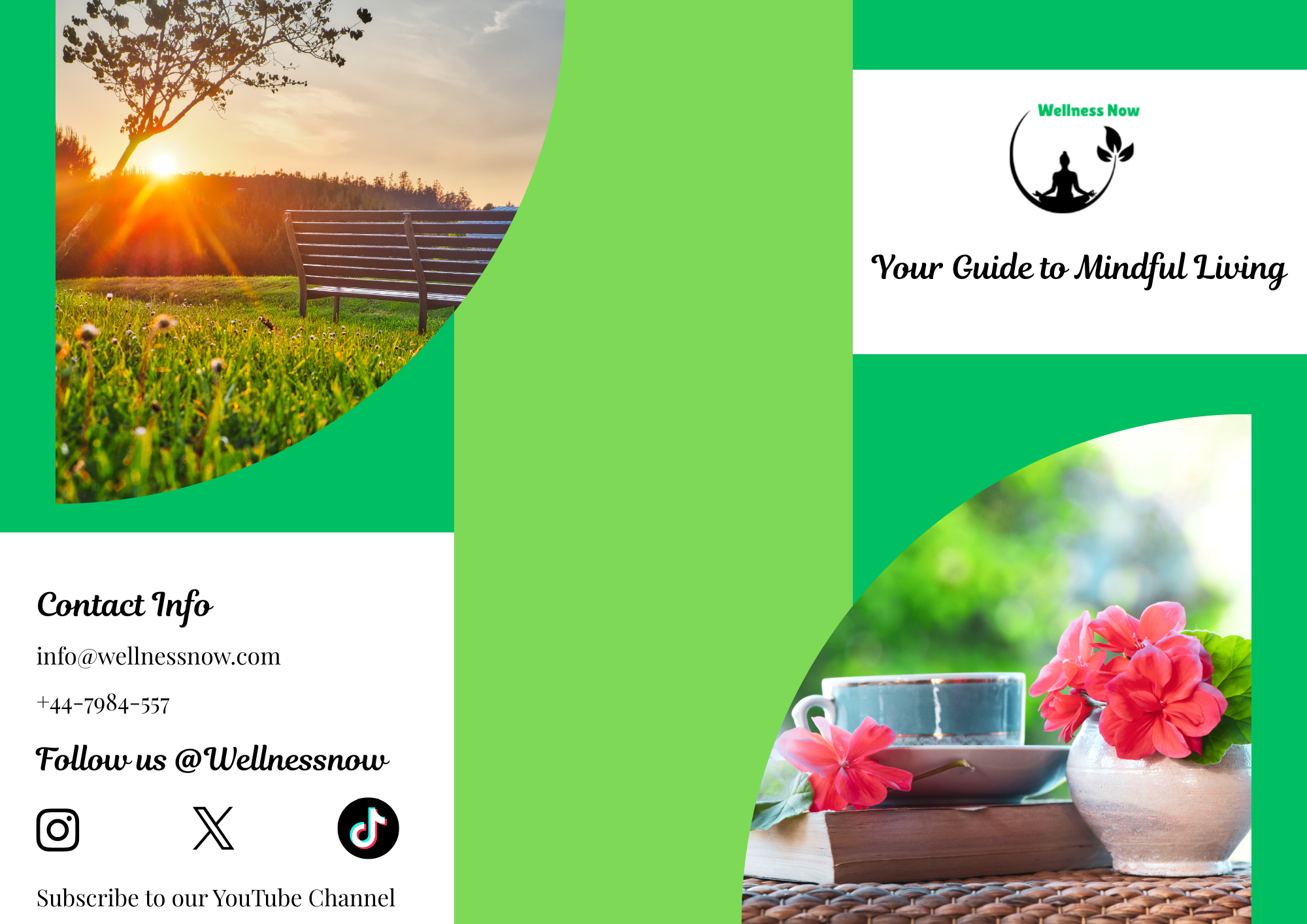 Wellness Now Brochure