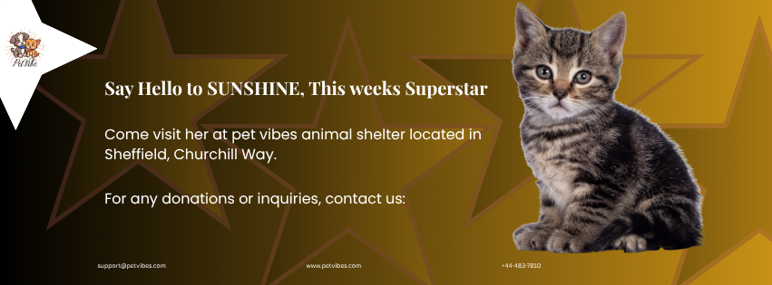 Facebook banner post