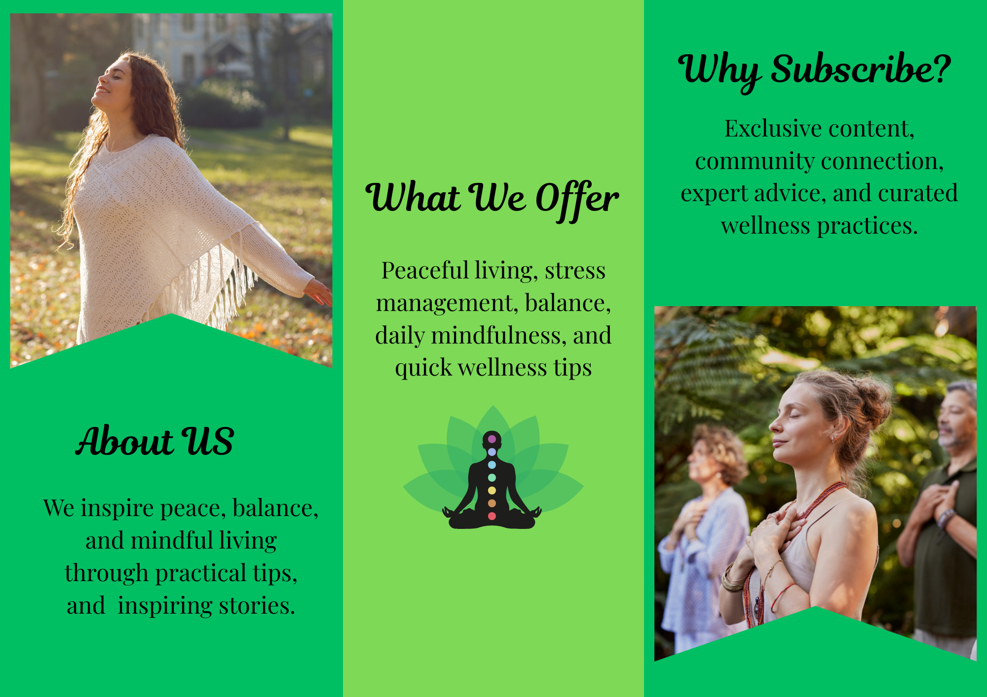 Wellness Now Brochure