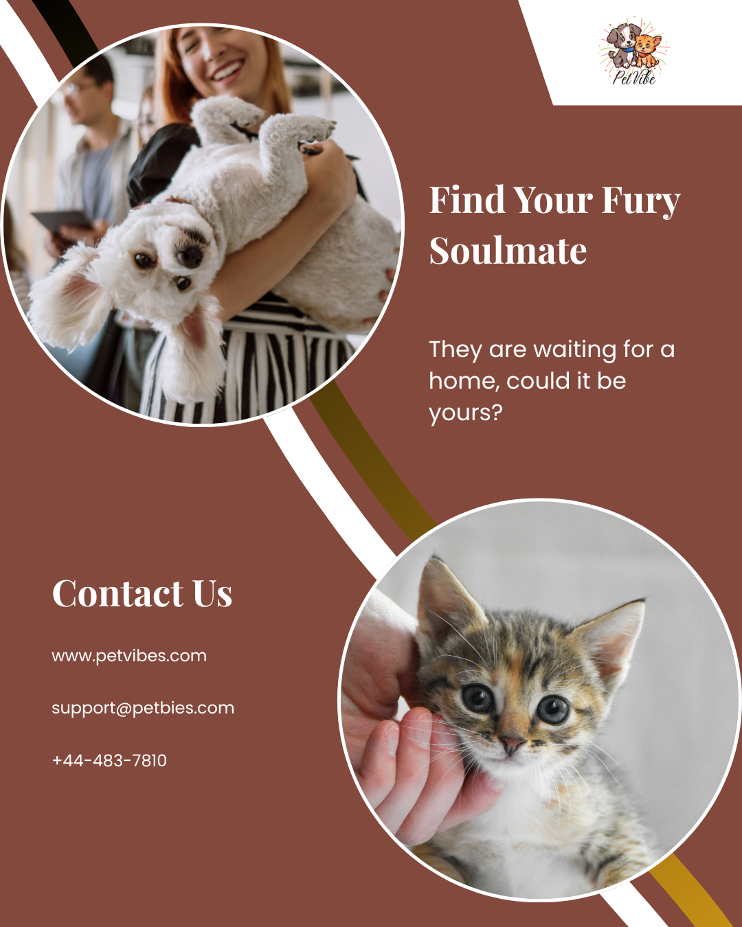 PetVibes Instagram Post